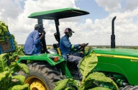 Farm workers