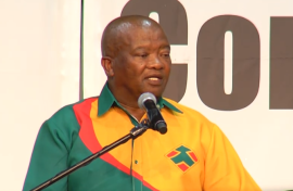 UDM leader Bantu Holomisa.