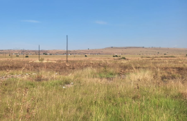 Close to 500 shacks have been erected behind the Erasmia and Sunderland Bridges. eNCA/Pule Letshwiti-Jones