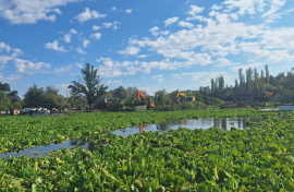 Since 2023, the Vaal River has been overwhelmed with invasive aquatic species. eNCA/Bafedile Moerane