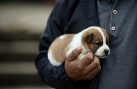 File: A man holds a puppy. AFP/Anselmo Cunha