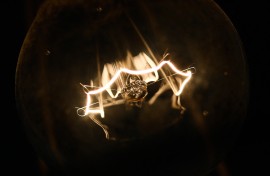 File: Light bulb in a home lamp.