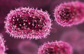 File: Mpox (previously monkeypox) virus particles. SIA/Science Photo Library via AFP