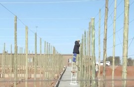A community-based organisation in Upington is showing what ubuntu means in practice by reaching out to the poor.
