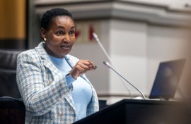 Thembi Simelane, Minister of Justice and Constitutional Development. Brenton Geach/Gallo Images via Getty Images