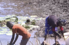 The El-Nino-induced drought has hit the southern Africa region hard, leaving many people and animals in rural Zimbabwe in serious need of water.