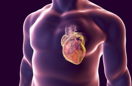 Sudden strokes change thousands of lives. KKO/Science Photo Library via AFP