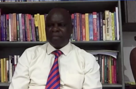 Political analyst, Levy Ndou 