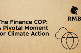 COP29 RMB