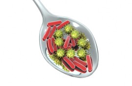 File: A conceptual illustration of foodborne infection. 