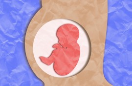 File: An illustration of a pregnant woman. Thom Leach/Science Photo Library via AFP