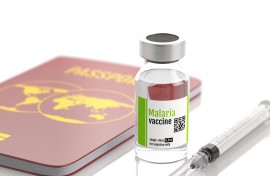 Malaria vaccine for travel, illustration.