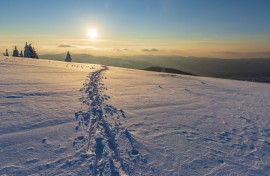 The Northern Hemisphere sees ever fewer snowy winter days due to climate change. Jean Isenmann/Only France via AFP