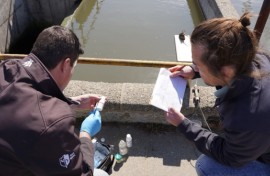 Water test