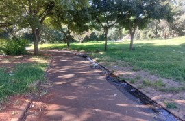 Inner City Decay / Hloni Mtimkulu