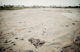 File: A teddy bear is buried in the mud in a flood-affected area. AFP/Gianluigi Guercia