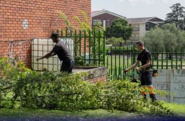 Operation Sparkle includes key repairs, removing weeds and repainting street curbs for better visibility.