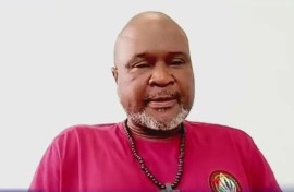 Political analyst, Zakhele Ndlovu