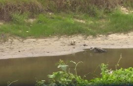 Sewage spills East London.JPG
