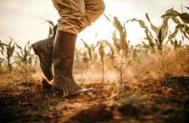 File: A worker walking around on a farm. GettyImages/eclipse_images