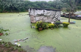 KZN floods