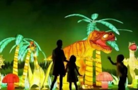 Magical light fest.JPG