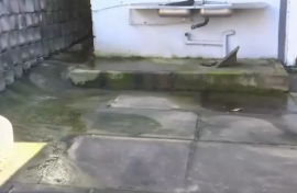 SEWAGE SPILLS DURBAN