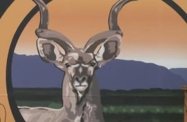 Kirkwood festival.JPG