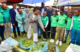 Gauteng MEC for Agriculture and Rural Development - Vuyiswa Ramokgopa