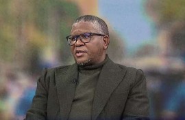 Fikile Mbalula