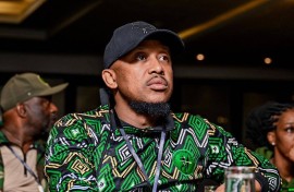 Nhlamulo Ndhlela - Umkhonto Wesizwe Party spokesperson