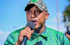 MK Party Spokesperson - Nhlamulo Ndhlela