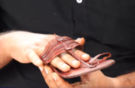 Sandal scandal Mumbai.png