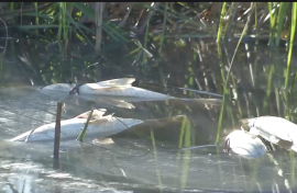 Kings Beach is experiencing a sewage spill.
