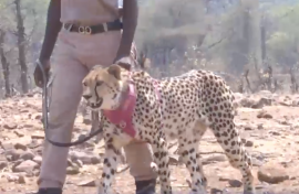 Tourism in Zimbabwe
