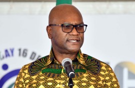 Ambassador to Republic of France, Nathi Mthethwa