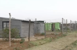 Hollywood informal settlement