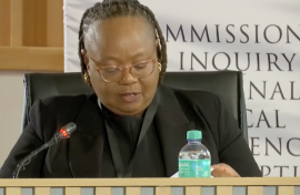 KZN NPA boss Elaine Harrison.
