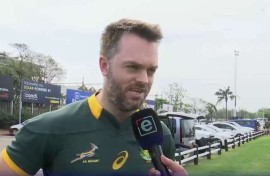 Springbok fan