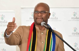 Nathi Mthethwa