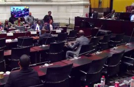 Ad hoc committee to investigate Mkhwanazi allegations