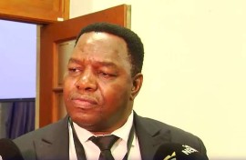 National Police Commissioner, Fannie Masemola