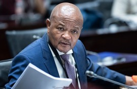 Police Minister Senzo Mchunu at the Parliamentary Ad Hoc Committee inquiry. Brenton Geach/Gallo Images via Getty Images