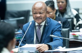 Police Minister Senzo Mchunu at the Parliamentary Ad Hoc Committee inquiry. Brenton Geach/Gallo Images via Getty Images