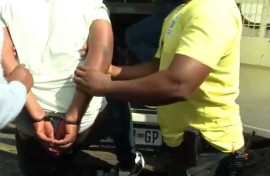 Linbro Park arrests