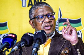 ANC Secretary General, Fikile Mbalula