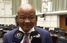 Police minister Senzo Mchunu