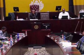 SAPS ad hoc committee