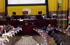SAPS ad hoc committee