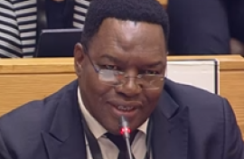 National Police Commissioner Fannie Masemola, is testifying before the Parliament’s Ad Hoc Committee 